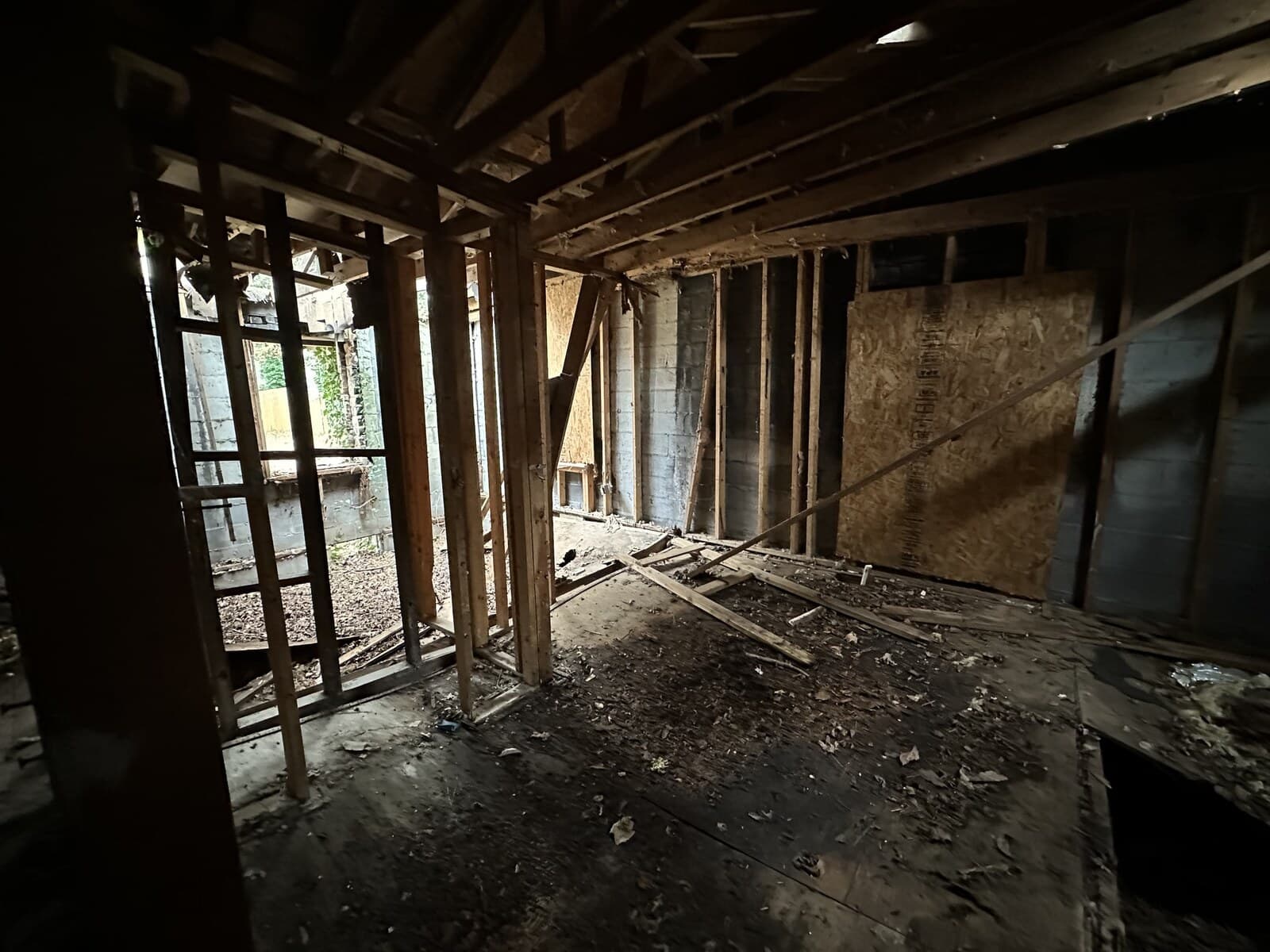 Gutted kitchen before renovation