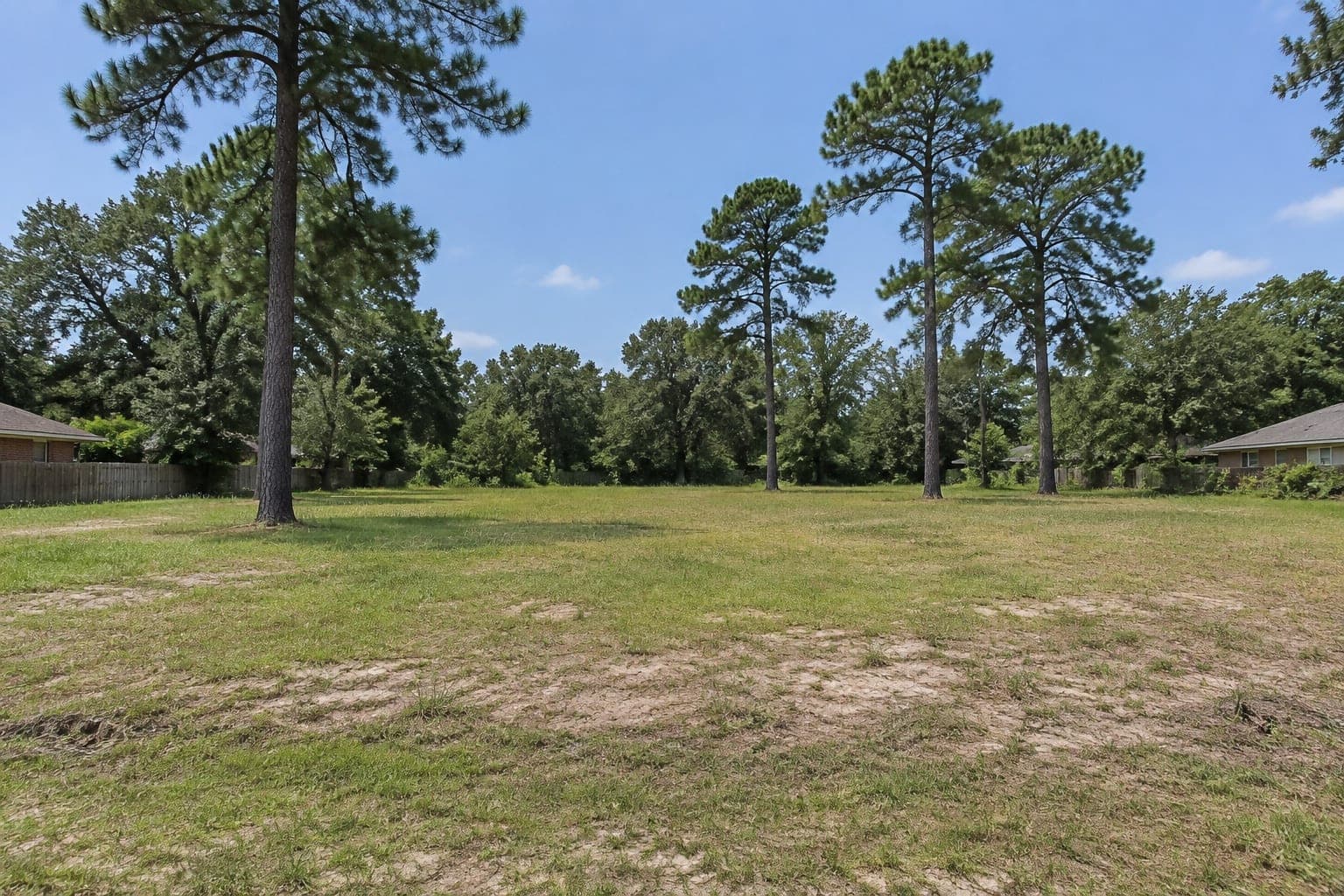 Undeveloped lot with pines