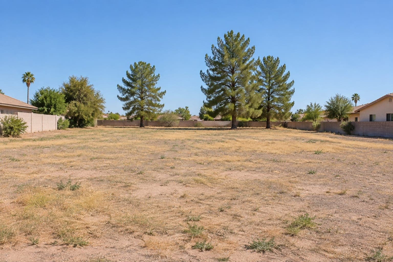 Undeveloped residential lot in Phoenix