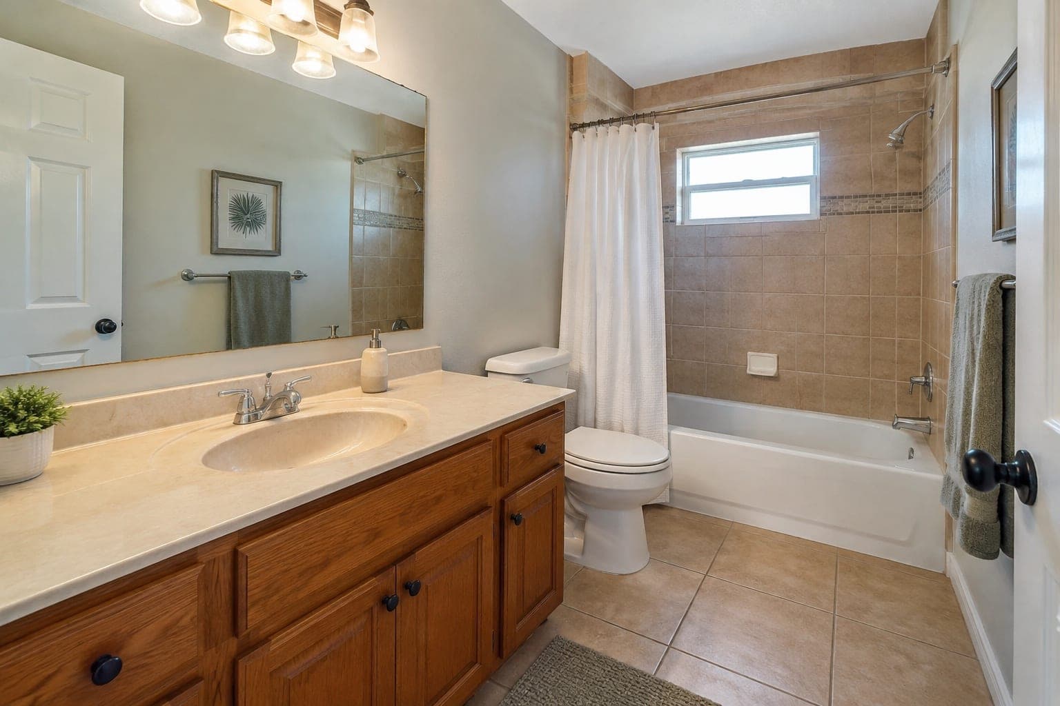 Bathroom needing light cosmetic updates in Tampa