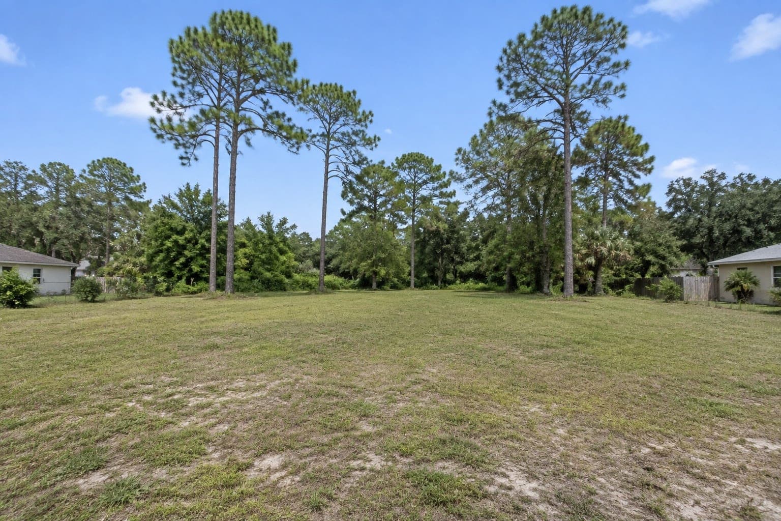 Undeveloped residential lot in Tampa